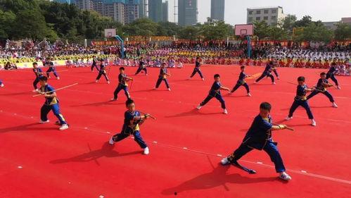 国产强操,引领科技潮流,铸就民族品牌辉煌  第3张 国产强操,引领科技潮流,铸就民族品牌辉煌  第3张